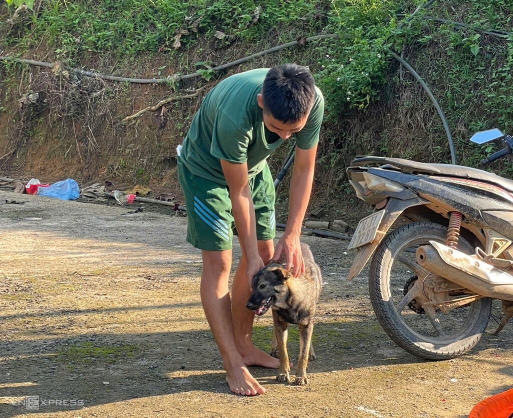 Chiến sĩ Sư đoàn 316 chăm sóc chú chó ở Làng Nủ khi chủ nhà gặp nạn, chỉ còn con gái đang điều trị ở Lào Cai. Ảnh: Hoàng Dương