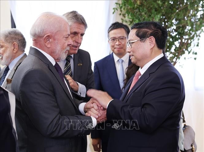 Thủ tướng Phạm Minh Chính hội đàm với Tổng thống Brazil Luiz Inácio Lula da Silva. Ảnh: Dương Giang/TTXVN