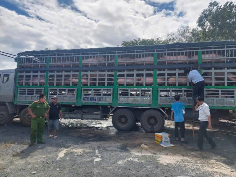 Lực lượng chức năng kiểm tra phương tiện, tang vật tại hiện trường (Ảnh: Báo PLVN)