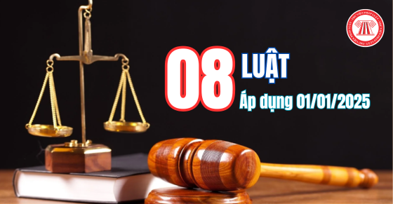 08 Luật mới có hiệu lực áp dụng từ ngày 01/01/2025. (Ảnh: thuvienphapluat.vn)