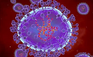 Minh họa máy tính về các hạt của metapneumovirus ở người (HMPV). (Ảnh: clinicaladvisor.com)